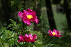 DSC08980