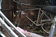 捨てられた自転車