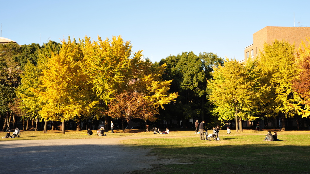日だまりの公園（HD）