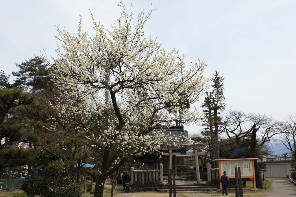 EOS Kiss X2テスト