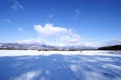 雪景色３