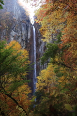 秋の米子大瀑布（権現滝）