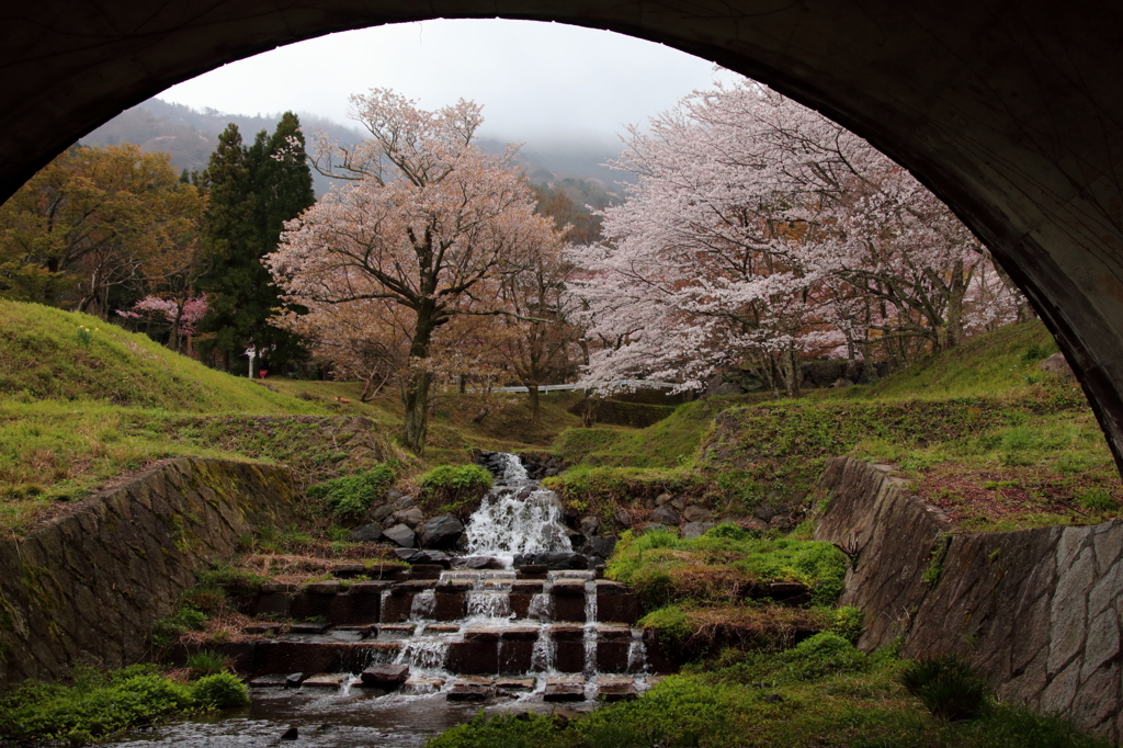 橋の下から見た景色