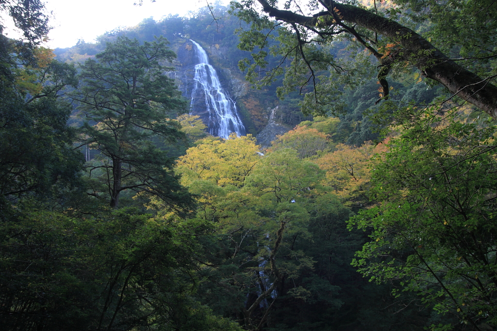 千尋滝（大杉谷）