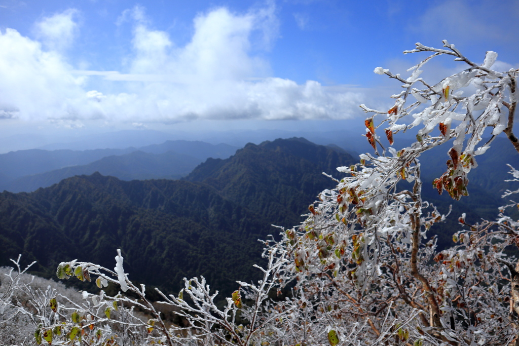 高妻山の霧氷