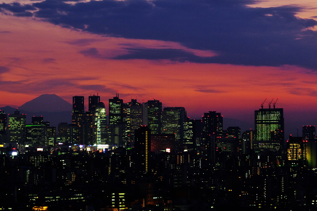 新宿高層ビル群と夕焼け