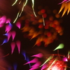 花火