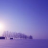 北海道　冬物語