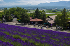 富良野の誘惑