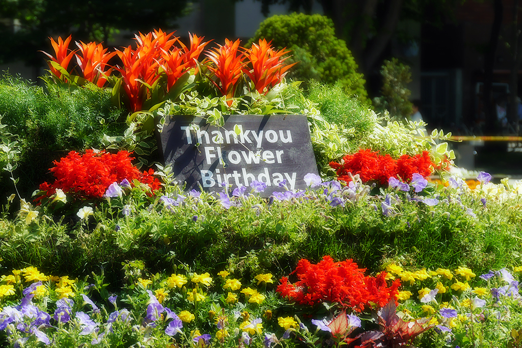 Flower Birthday