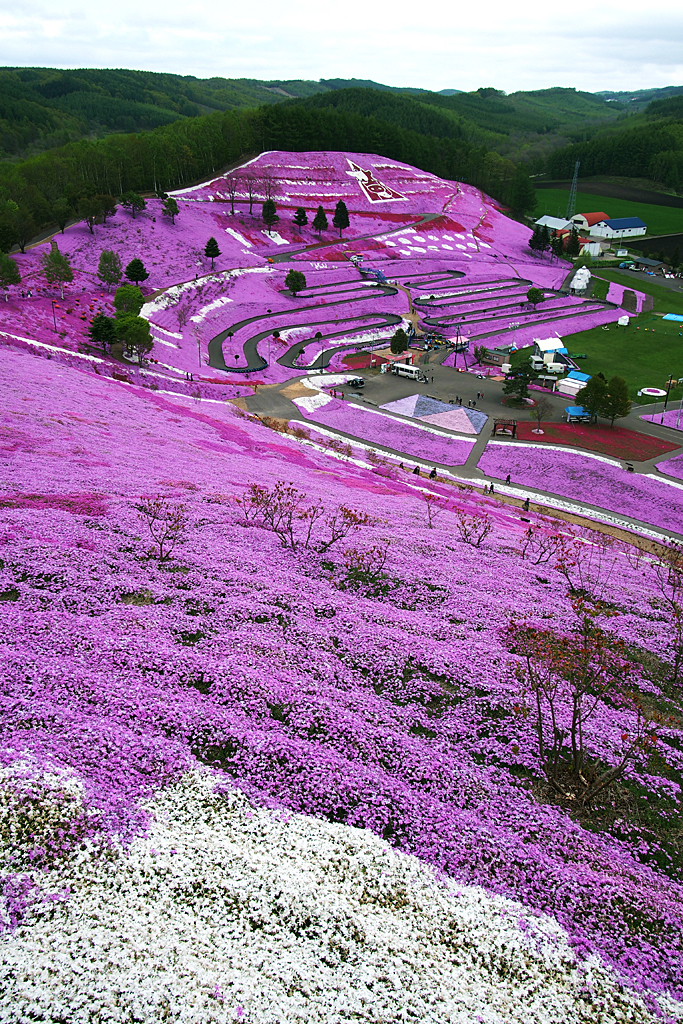 圧巻