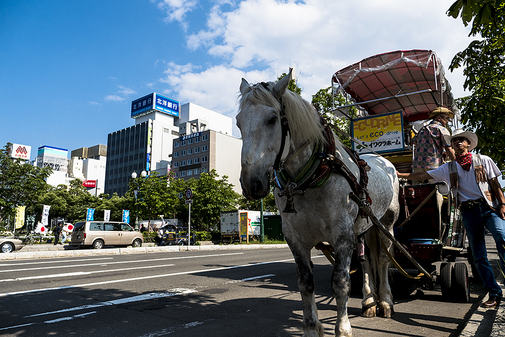 街中に馬車出現！