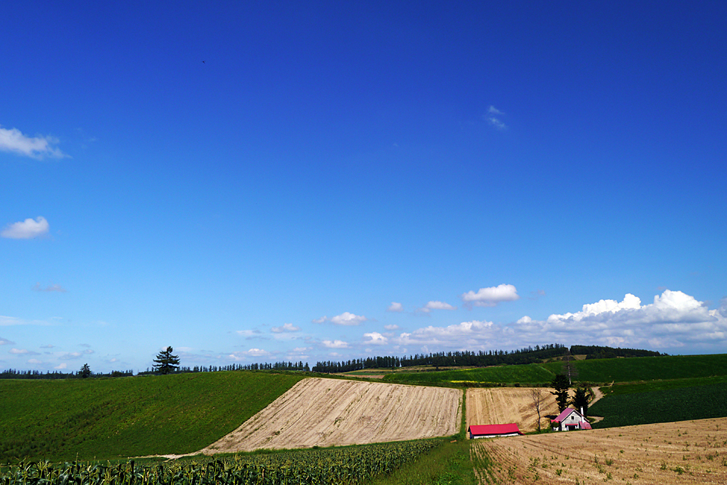 残したい夏の風景