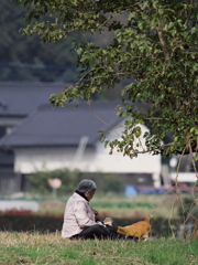 老人と猫