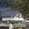 老人と猫