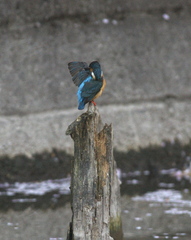 ダイブ前の化粧なおし