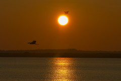 パンケ沼からの夕陽