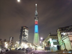 東京2020パラリンピック1000日前ライティング