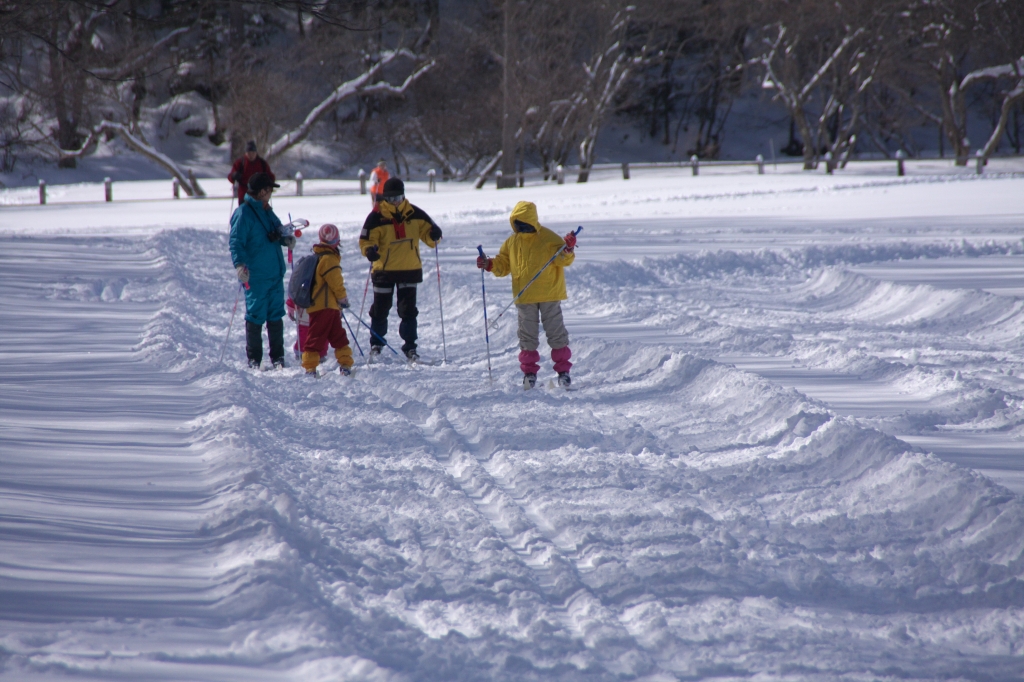 SnowShoes080210_112516