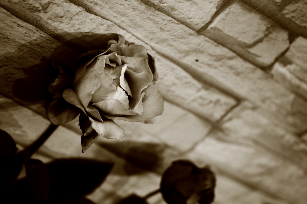 _53Y0940