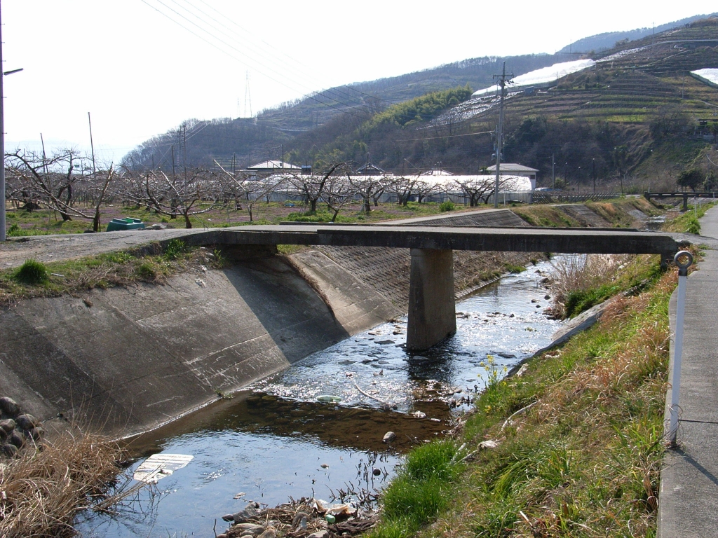 橋