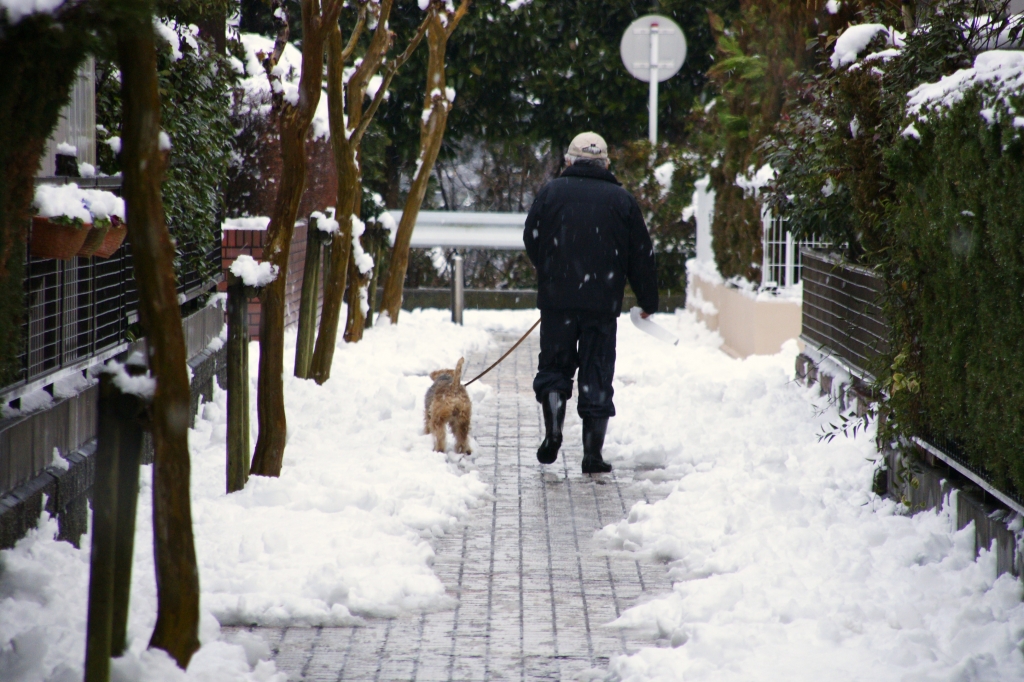 節分の雪