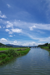 祝・梅雨明け（１）