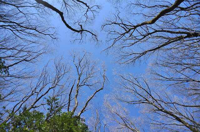 resize0078