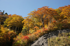 0779 白山スーパー林道-3