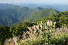 8010 伊吹山駐車場から