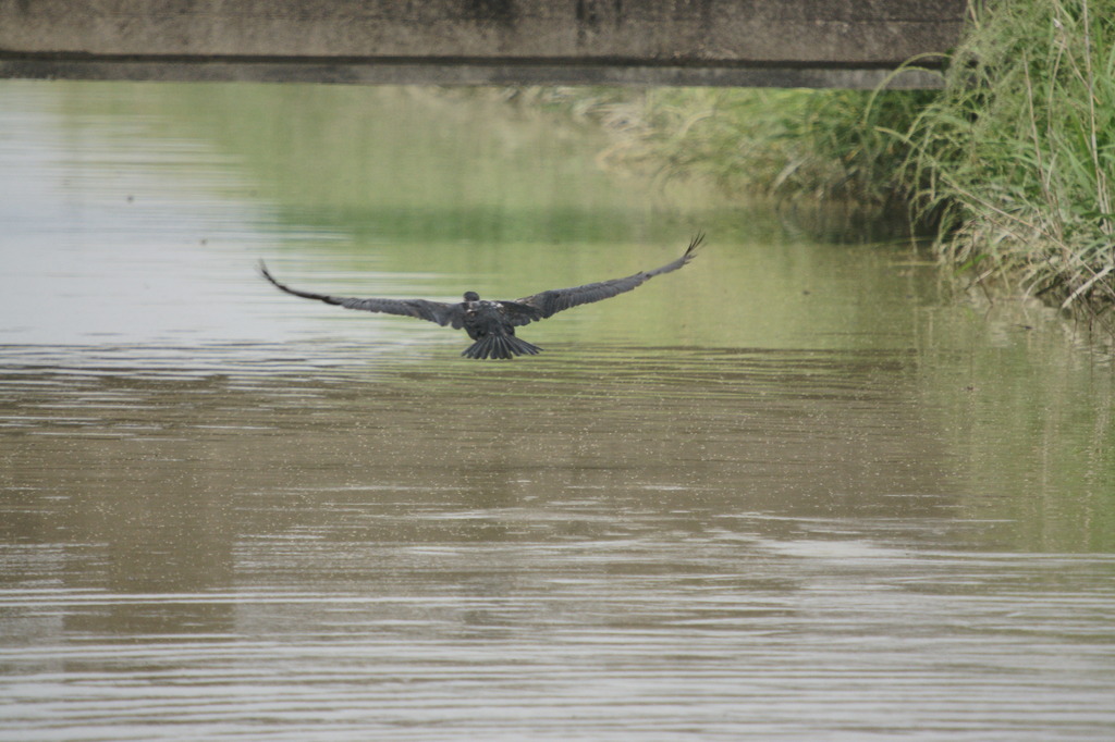 3877 カメラ怖～い