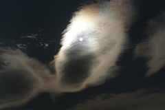 6639 今日の雲1