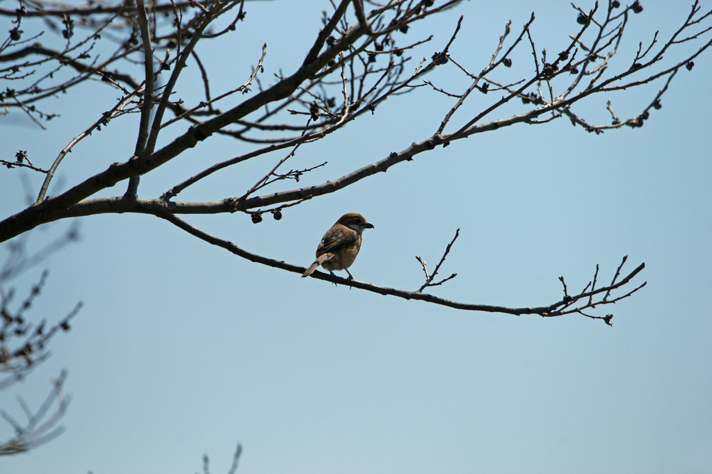 5929-M 久しぶり!!