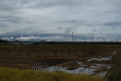 0231　雨上がりの雲