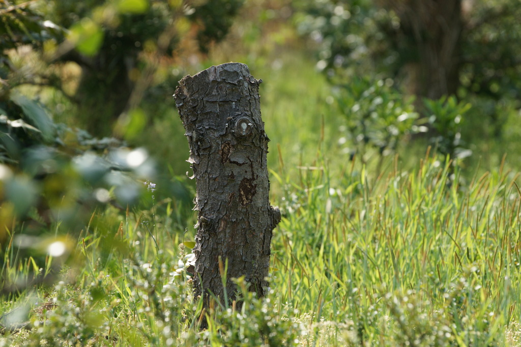 6986　何を訴える