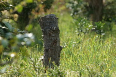 6986　何を訴える