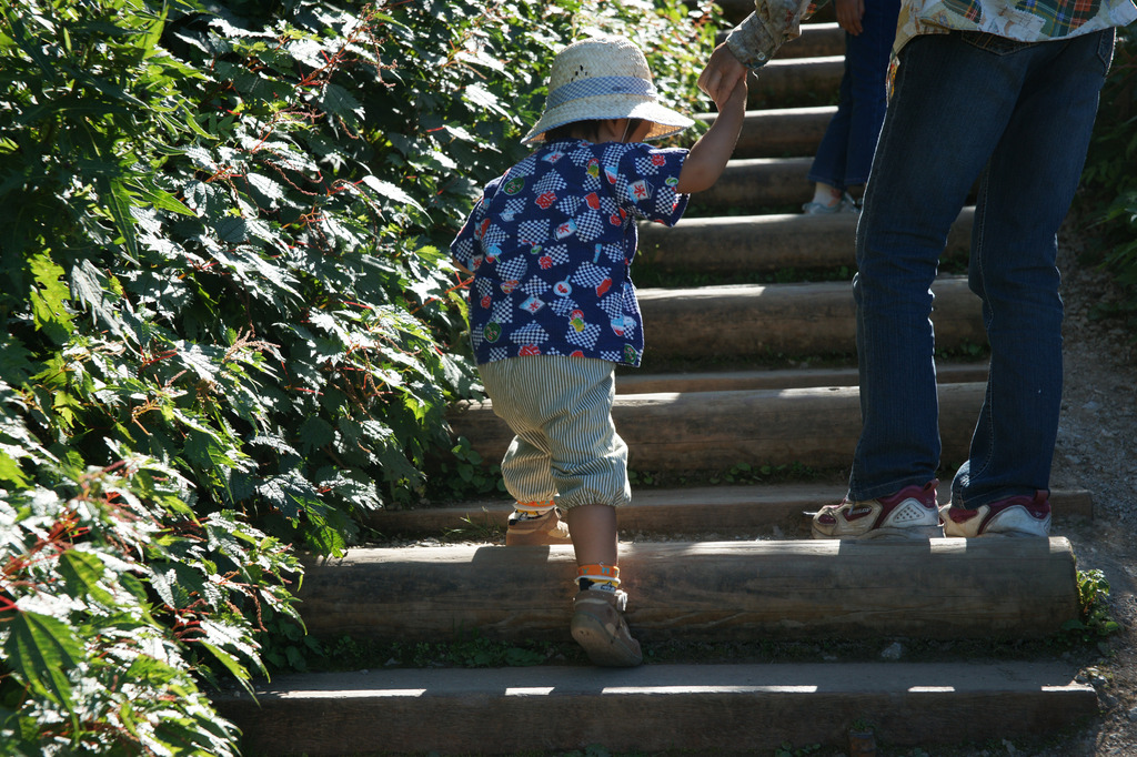 7869 ２歳半、頑張って登る