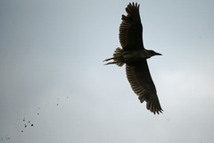 2170tm 爆弾散布!!