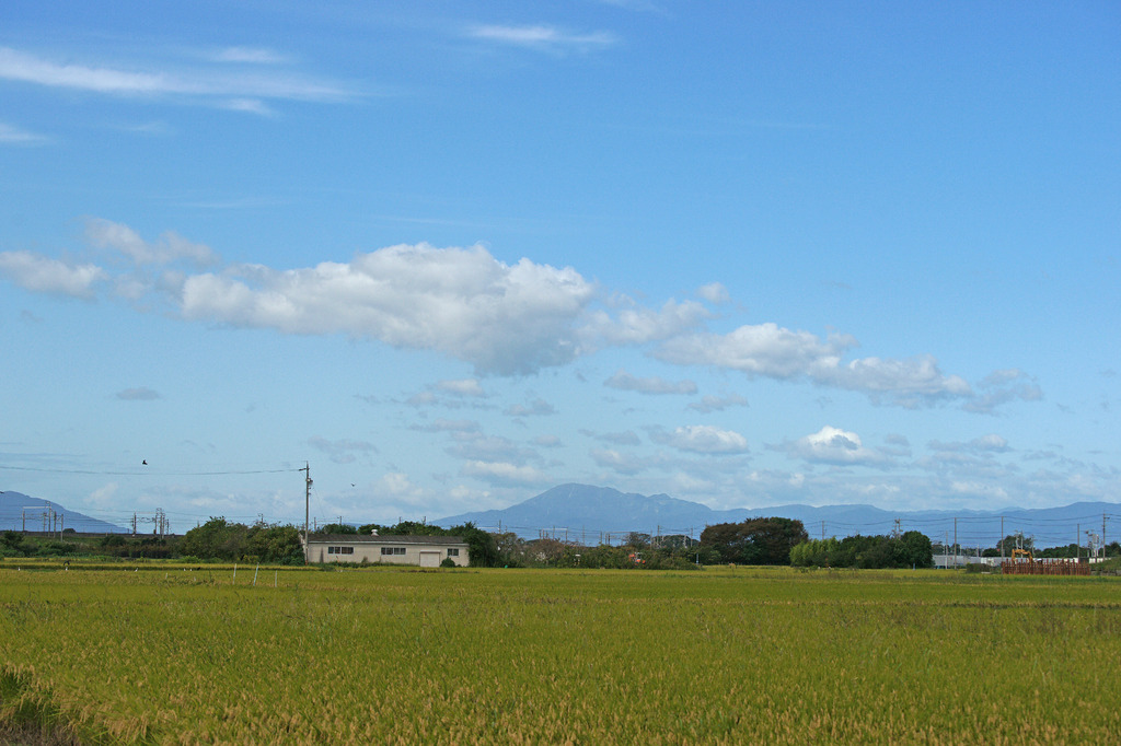 0276m 散歩エリア