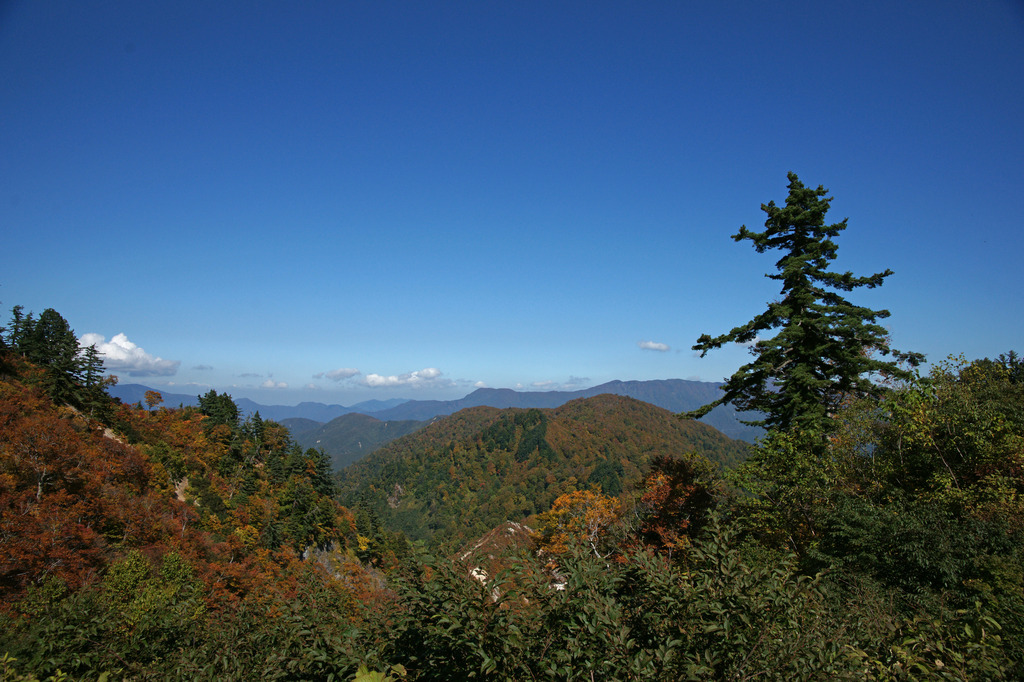 0727m 白山スーパー林道-1