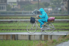 3991 雨