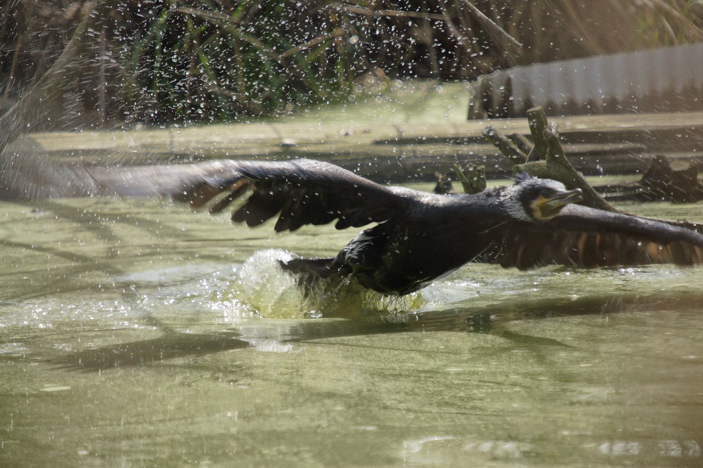 8797- 気づかれたっ!!