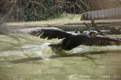 8797- 気づかれたっ!!