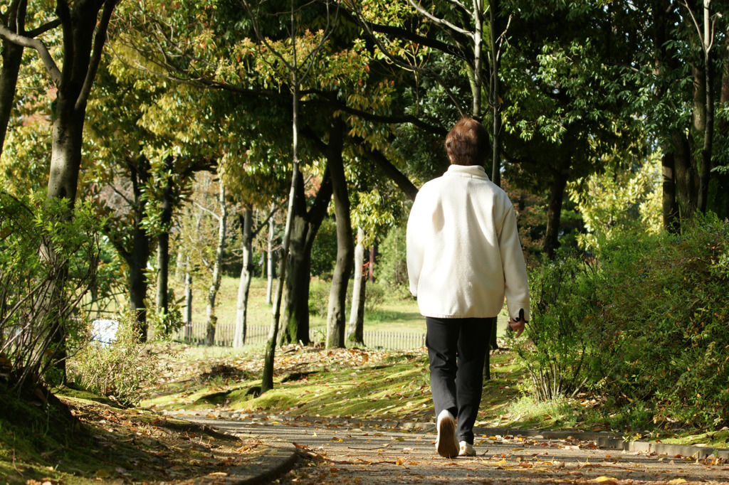 3246t 公園で早朝散歩する人