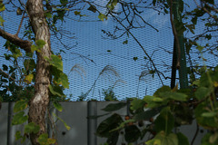 0254 塀の向こうは