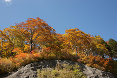 0799 白山スーパー林道-4
