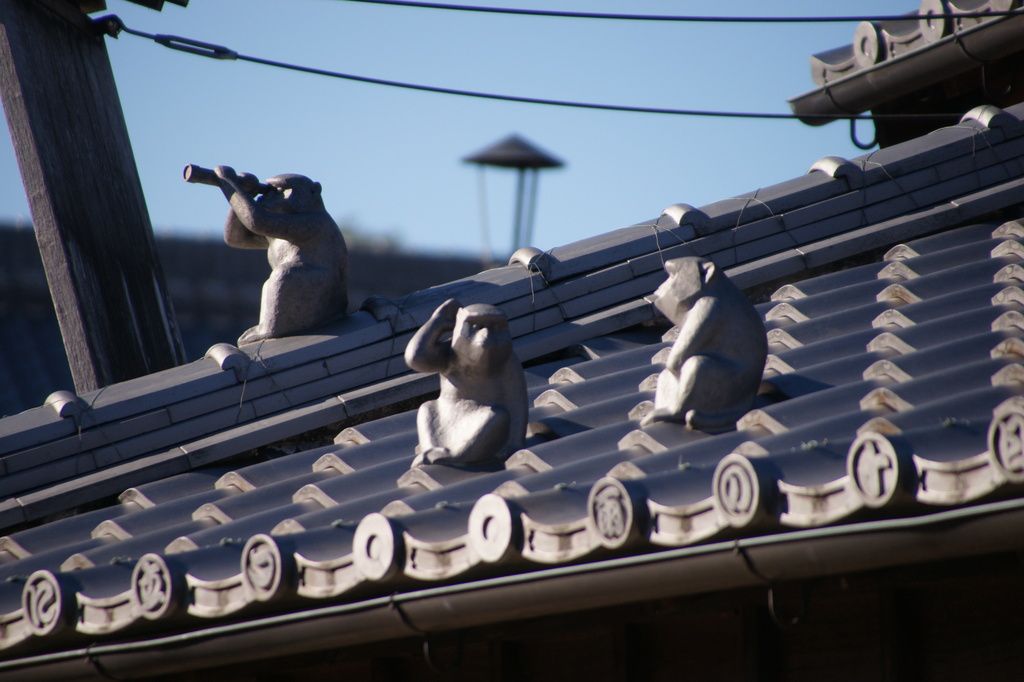 8146　どんな猿!!!