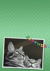 birthdaycard