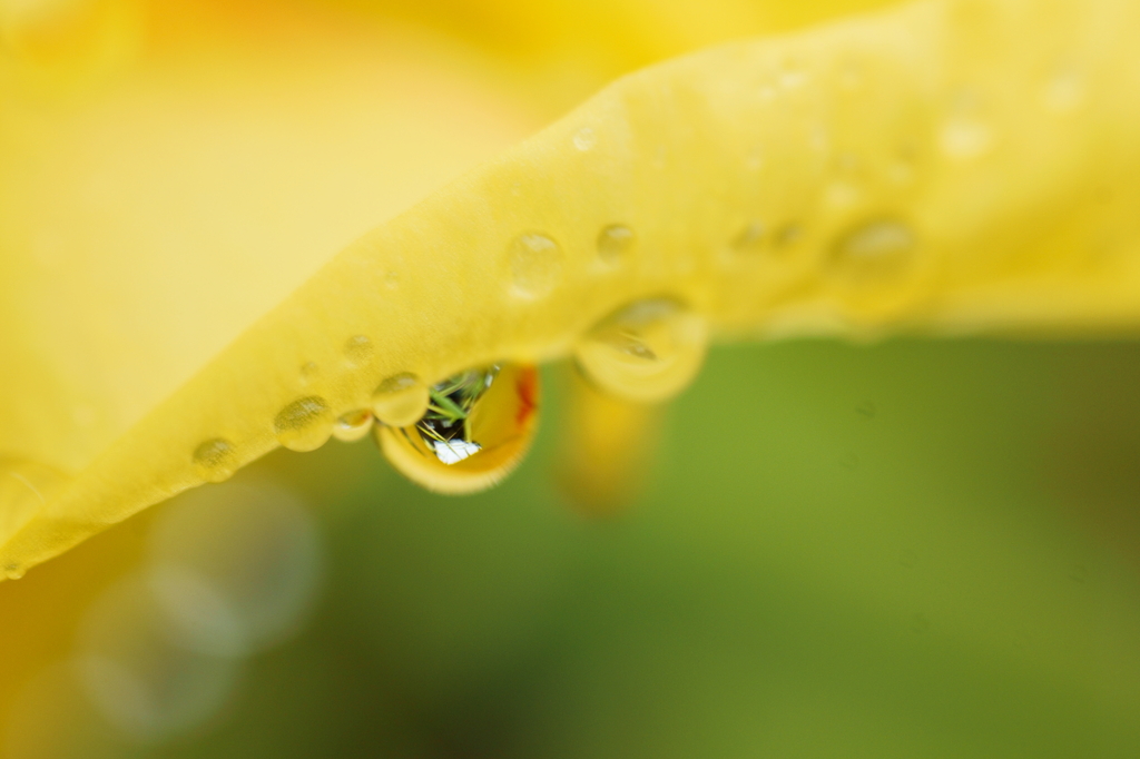 雨