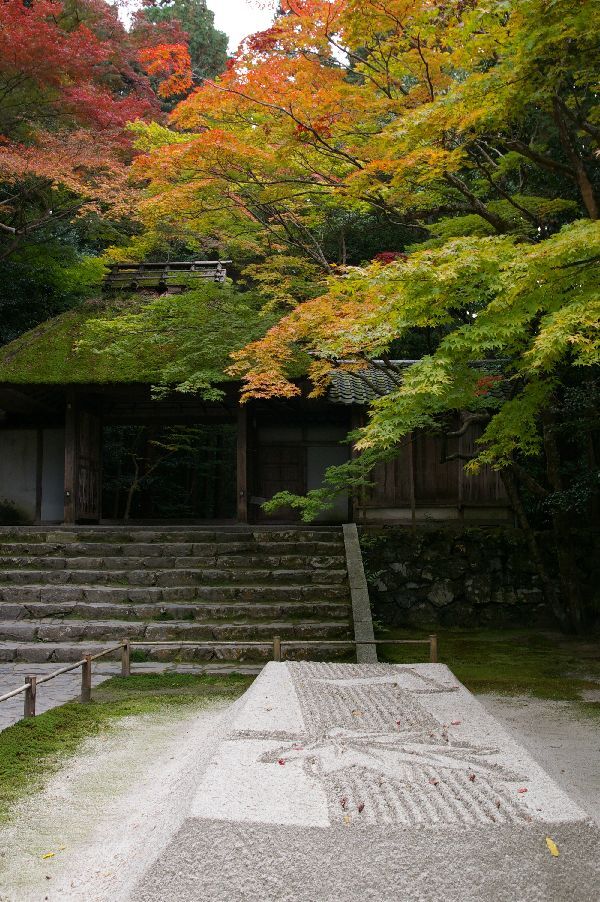 砂の紅葉